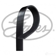 Приводной ремень, поликлиновой GATES 8PK131 0 407635 8pk1310xs ODSON - Изображение 2