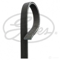 Приводной ремень, поликлиновой GATES 6DP K1195 407027 6DPK1198 6dpk1195 - Изображение 4