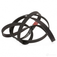 Приводной ремень, поликлиновой GATES 407273 6PK2150 RACING 6pk2153 6PK2150 - Изображение 4