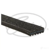 Приводной ремень, поликлиновой GATES 407029 6DPK1 225 KTDS4QP 6dpk1225 - Изображение 2