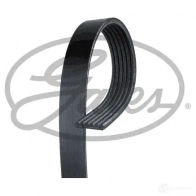 Приводной ремень, поликлиновой GATES 6pk1850hd 1437431839 LJY8 RQ9