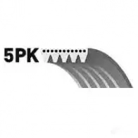 Приводной ремень, поликлиновой GATES 5PK87 5 5pk880 406539 5PK877 - Изображение 2