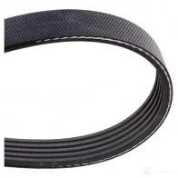 Приводной ремень, поликлиновой GATES 5PK87 5 5pk880 406539 5PK877 - Изображение 6