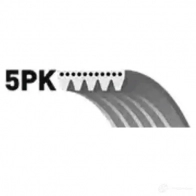 Приводной ремень, поликлиновой GATES 5PK1100 406423 5PK 1098 5pk1103 - Изображение 3