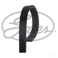 Приводной ремень, поликлиновой GATES 5PK1100 406423 5PK 1098 5pk1103 - Изображение 6