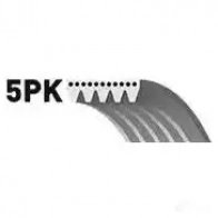 Приводной ремень, поликлиновой GATES 5pk1095 5P K1094 5PK1095 406422 - Изображение 2