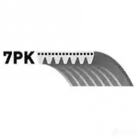 Приводной ремень, поликлиновой GATES 7pk1035 7PK10 35 Nissan Murano (Z52) 3 2015 – 2020 4CAEQ