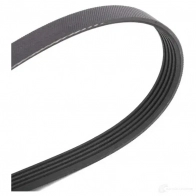 Приводной ремень, поликлиновой GATES 5 PK1545 406476 5pk1545 5PK1546 - Изображение 3