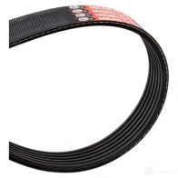 Приводной ремень, поликлиновой GATES 6PK1367 6PK1 365 407123 6pk1368 - Изображение 4