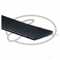 Приводной ремень, поликлиновой GATES 12pk2500hd 1437430822 VI IIIR4 - Изображение 2