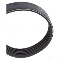 Приводной ремень, поликлиновой GATES 6PK1 558 6pk1560 6PK1560 407157 - Изображение 3