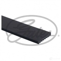 Приводной ремень, поликлиновой GATES 8pk1910hd 1437430725 AGY8J 0Q - Изображение 2