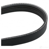Приводной ремень в комплекте GATES 5P K1148 408469 k015pk1148 T38368 - Изображение 2