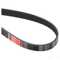 Приводной ремень в комплекте GATES k016pk1613 408666 6 PK1613 T36248 - Изображение 6