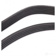 Приводной ремень в комплекте GATES 5PK 865 6PK1540 k106pk1540 410321 - Изображение 5