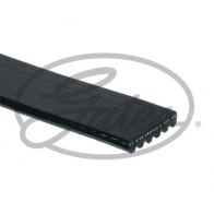 Поликлиновой ремень GATES 6PK1138EST 1440078297 I 7OCOF - Изображение 2