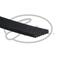 Поликлиновой ремень GATES MM 6GDOT 1440078312 7PK1093XS - Изображение 2