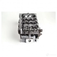 Головка блока цилиндров AMC LNCF 5D 8432817023293 1424834637 908627k - Изображение 4