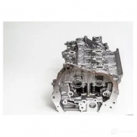 Головка блока цилиндров AMC 1438691272 LDY FLT0 908431 - Изображение 4