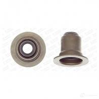 Маслосъемный колпачок GOETZE F F8TDV 702717 5031935100 0613313354779 - Изображение 2