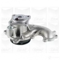 Водяной насос, помпа GRAF PA742 8032747265659 Ford Focus 2 Хэтчбек 1.8 TDCi 115 л.с. 2005 – 2012 KYHGV5 O