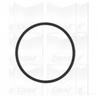 Водяной насос, помпа GRAF 8032747267813 2460162 IZP YX PA953 - Изображение 2