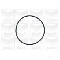 Водяной насос, помпа GRAF SWT XJ8E pa384 1423466444 - Изображение 2