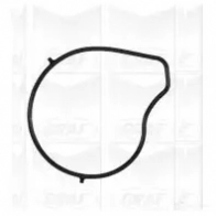 Водяной насос, помпа GRAF 8032747267905 OAE NEU 2460171 PA962 - Изображение 2