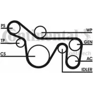 Поликлиновой ременный комплект CONTITECH Ford Focus 1 Хэтчбек 1.8 Turbo DI / TDDi 90 л.с. 1998 – 2004 6 PK 1719 6PK1720D2 6 PK 1718
