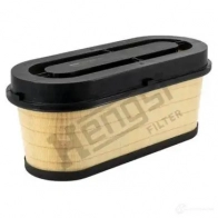 Воздушный фильтр HENGST FILTER 3FDTN3B 1424612734 8 223310000 e1060l01