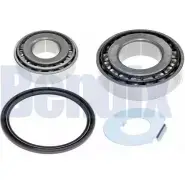 Ступичный подшипник, комплект BENDIX 580972 INWG PN NB3F8B 050292B