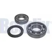 Ступичный подшипник, комплект BENDIX 581470 050816B JNY9H R2 5EZCI
