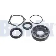 Ступичный подшипник, комплект BENDIX MWPA0Q P EHU6YF5 581616 050973B