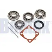 Ступичный подшипник, комплект BENDIX 304PM 582108 OGI CX7 051514B