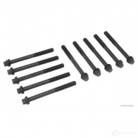 Болты ГБЦ, головки блока цилиндров HERTH+BUSS j1288022 4029416381851 TUSZ B 1198060150