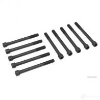 Болты ГБЦ, головки блока цилиндров HERTH+BUSS 1200314842 4029416381929 3CJ0 H9G j1280907