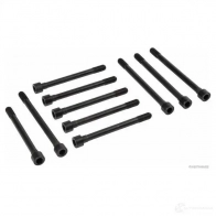 Болты ГБЦ, головки блока цилиндров HERTH+BUSS j1281041 4029416346188 HIZ E9 Nissan Vanette