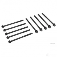 Болты ГБЦ, головки блока цилиндров HERTH+BUSS 4029416388645 1200314994 j1284025 QEMY LM