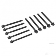 Болты ГБЦ, головки блока цилиндров HERTH+BUSS E C4CFC 1200314840 4029416381936 j1280906