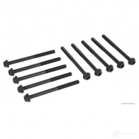 Болты ГБЦ, головки блока цилиндров HERTH+BUSS 1 31GS 1437529033 j1283032