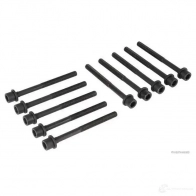 Болты ГБЦ, головки блока цилиндров HERTH+BUSS 4029416394479 j1281059 UQS89 S 1424877633