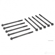 Болты ГБЦ, головки блока цилиндров HERTH+BUSS Y XV8U j1280901 4029416383374 1200314834