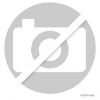 Болты ГБЦ, головки блока цилиндров HERTH+BUSS 5PIL 5D 1437954149 j1281062