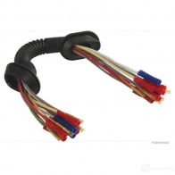 Разъем проводки задней двери HERTH+BUSS UPYXS 51277042 RepC ab 822503 - Изображение 1