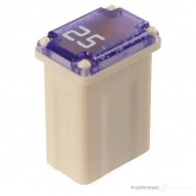 Предохранитель HERTH+BUSS 821262 M Case 71ASKB 50295341