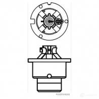 Лампа фары HERTH+BUSS D4 S 89901314 CVSQV4 827567 - Изображение 2