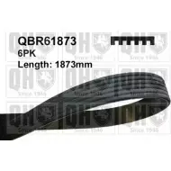 Приводной ремень, поликлиновой QUINTON HAZELL Seat Ibiza (6J1, 6P5) 4 Купе 1.2 60 л.с. 2009 – 2024 QBR61873 EG 1Q9G 6JPAA