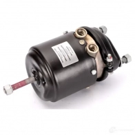 Подпружиненный цилиндр TRUCKTECHNIC BTFV RA tt5010005 1437886457 - Изображение 1