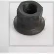Гайка крепления колеса PE AUTOMOTIVE LW 9BP A4AY5 067.118-00A 728097