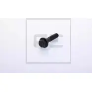 Болт PE AUTOMOTIVE 5HX9Y 129.033-00A 731911 E C9FP3